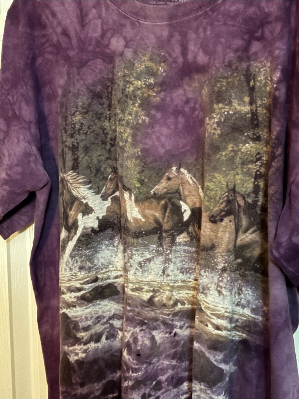 Mountain Hardwear Purple Horse Graphic Short-Sleeve Tee